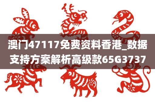 澳门47117免费资料香港_数据支持方案解析高级款65G3737