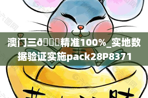 澳门三??精准100%_实地数据验证实施pack28P8371