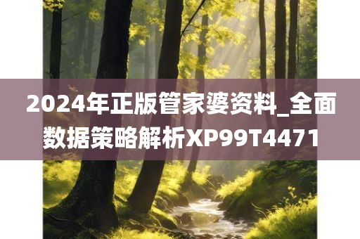 2024年正版管家婆资料_全面数据策略解析XP99T4471