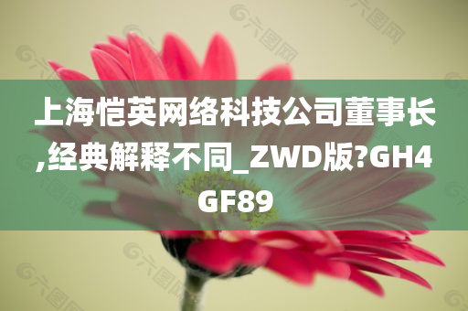 上海恺英网络科技公司董事长,经典解释不同_ZWD版?GH4GF89