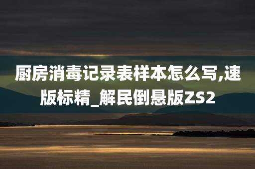 厨房消毒记录表样本怎么写,速版标精_解民倒悬版ZS2