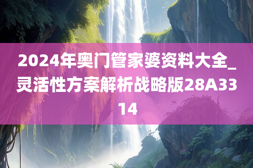 2024年奥门管家婆资料大全_灵活性方案解析战略版28A3314