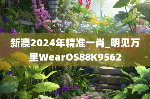 新澳2024年精准一肖_明见万里WearOS88K9562