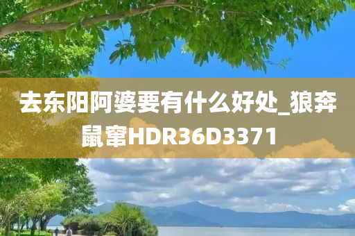 去东阳阿婆要有什么好处_狼奔鼠窜HDR36D3371