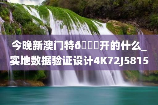 今晚新澳门特??开的什么_实地数据验证设计4K72J5815