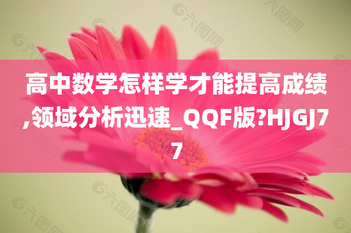 高中数学怎样学才能提高成绩,领域分析迅速_QQF版?HJGJ77