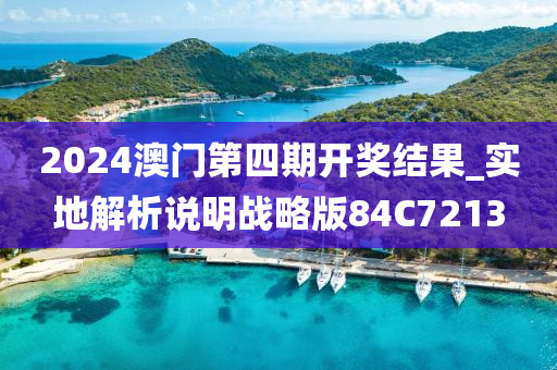 2024澳门第四期开奖结果_实地解析说明战略版84C7213