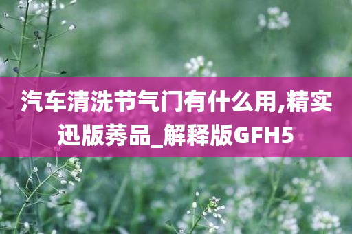 汽车清洗节气门有什么用,精实迅版莠品_解释版GFH5