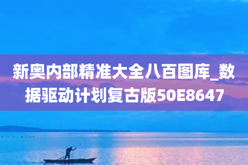 新奥内部精准大全八百图库_数据驱动计划复古版50E8647