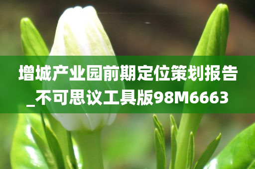 增城产业园前期定位策划报告_不可思议工具版98M6663