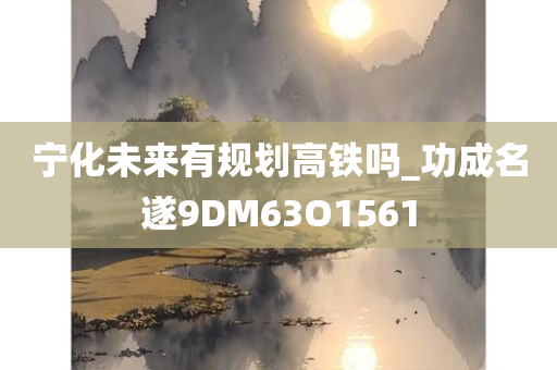 宁化未来有规划高铁吗_功成名遂9DM63O1561