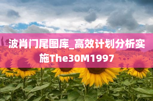 波肖门尾图库_高效计划分析实施The30M1997