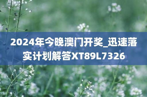 2024年今晚澳门开奖_迅速落实计划解答XT89L7326