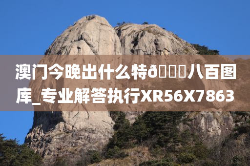 澳门今晚出什么特??八百图库_专业解答执行XR56X7863