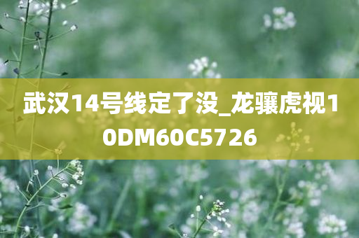 武汉14号线定了没_龙骧虎视10DM60C5726