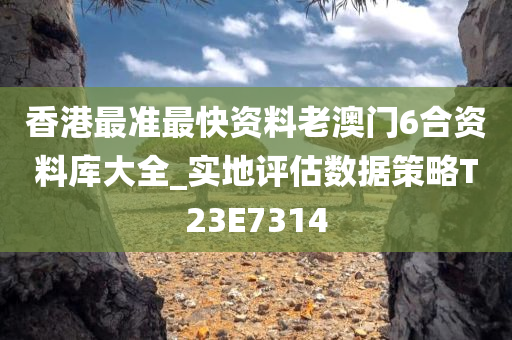 香港最准最快资料老澳门6合资料库大全_实地评估数据策略T23E7314