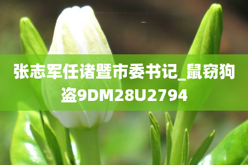 张志军任诸暨市委书记_鼠窃狗盗9DM28U2794