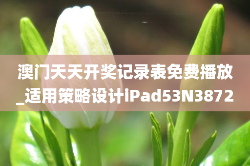 澳门天天开奖记录表免费播放_适用策略设计iPad53N3872