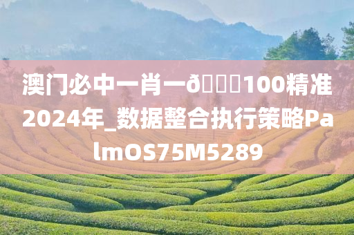 澳门必中一肖一??100精准2024年_数据整合执行策略PalmOS75M5289