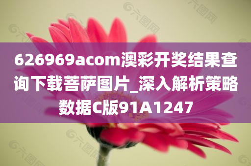 626969acom澳彩开奖结果查询下载菩萨图片_深入解析策略数据C版91A1247