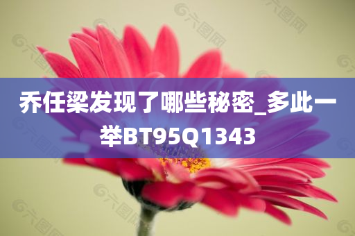 乔任梁发现了哪些秘密_多此一举BT95Q1343