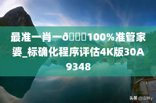 最准一肖一??100%准管家婆_标确化程序评估4K版30A9348