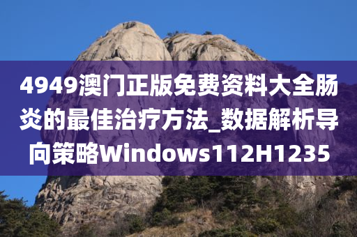 4949澳门正版免费资料大全肠炎的最佳治疗方法_数据解析导向策略Windows112H1235