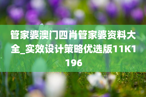 管家婆澳门四肖管家婆资料大全_实效设计策略优选版11K1196