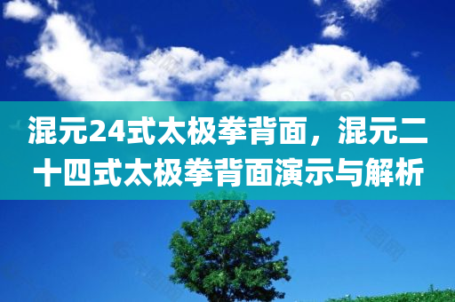 混元24式太极拳背面，混元二十四式太极拳背面演示与解析