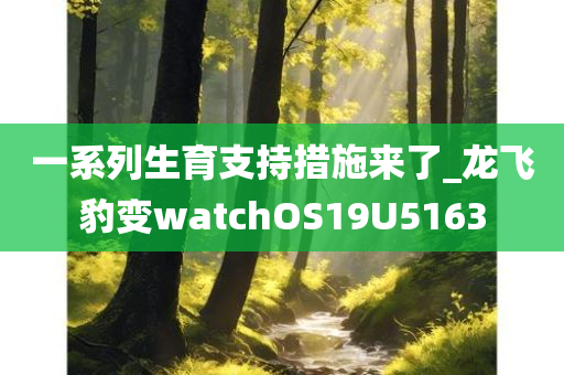 一系列生育支持措施来了_龙飞豹变watchOS19U5163