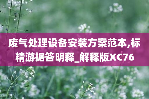 废气处理设备安装方案范本,标精游据答明释_解释版XC76