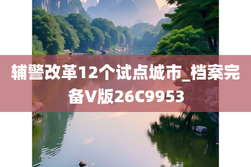 辅警改革12个试点城市_档案完备V版26C9953