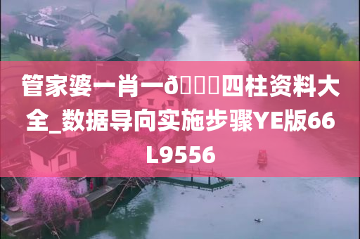 管家婆一肖一??四柱资料大全_数据导向实施步骤YE版66L9556