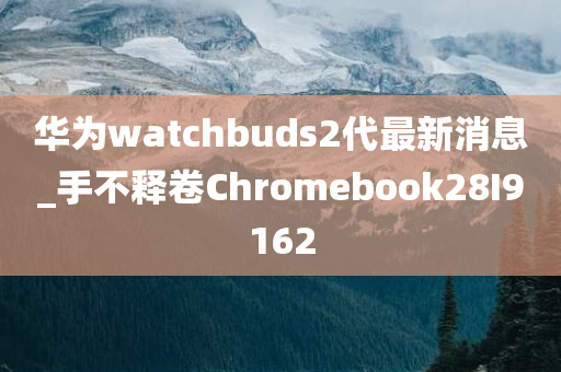 华为watchbuds2代最新消息_手不释卷Chromebook28I9162