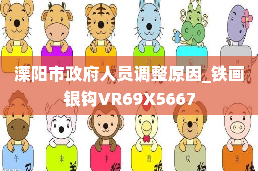 溧阳市政府人员调整原因_铁画银钩VR69X5667