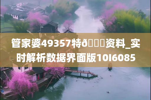 管家婆49357特??资料_实时解析数据界面版10I6085