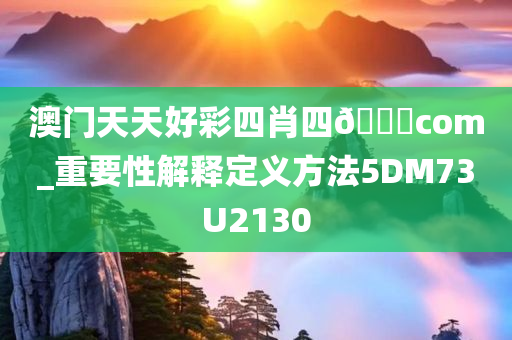 澳门天天好彩四肖四??com_重要性解释定义方法5DM73U2130