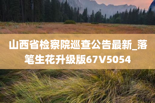 山西省检察院巡查公告最新_落笔生花升级版67V5054