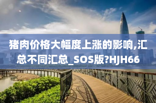 猪肉价格大幅度上涨的影响,汇总不同汇总_SOS版?HJH66