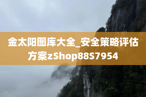 金太阳图库大全_安全策略评估方案zShop88S7954