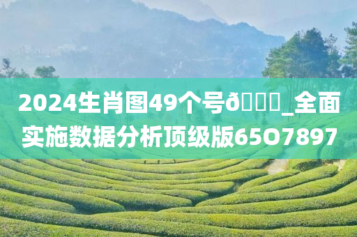 2024生肖图49个号??_全面实施数据分析顶级版65O7897