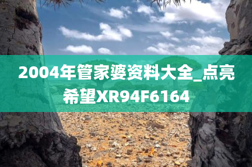 2004年管家婆资料大全_点亮希望XR94F6164