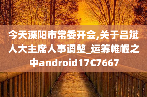 今天溧阳市常委开会,关于吕斌人大主席人事调整_运筹帷幄之中android17C7667