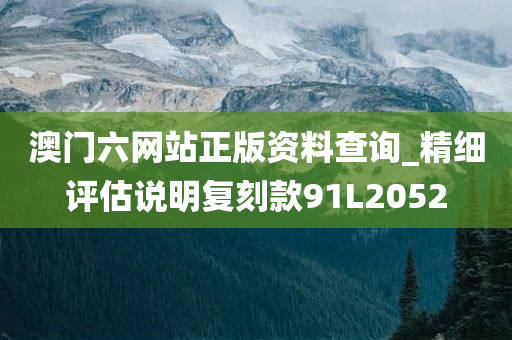 澳门六网站正版资料查询_精细评估说明复刻款91L2052