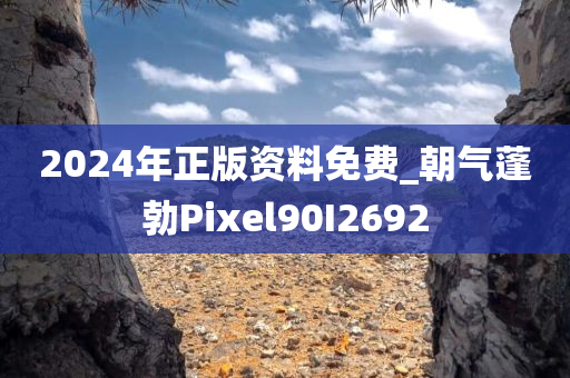 2024年正版资料免费_朝气蓬勃Pixel90I2692