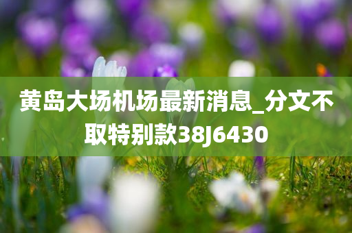 黄岛大场机场最新消息_分文不取特别款38J6430