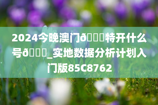 2024今晚澳门??特开什么号??_实地数据分析计划入门版85C8762