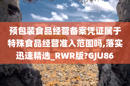 预包装食品经营备案凭证属于特殊食品经营准入范围吗,落实迅速精选_RWR版?GJU86