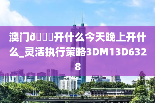 澳门??开什么今天晚上开什么_灵活执行策略3DM13D6328