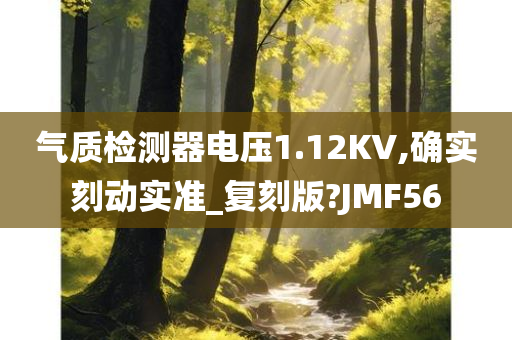 气质检测器电压1.12KV,确实刻动实准_复刻版?JMF56